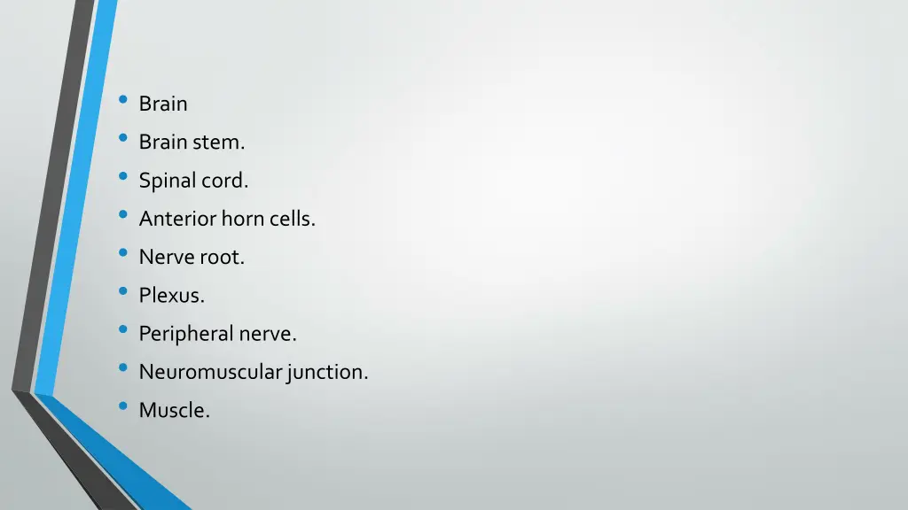 brain brain stem spinal cord anterior horn cells