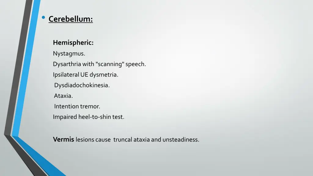 cerebellum