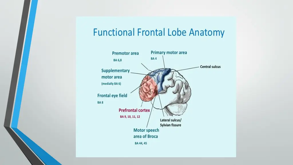 slide13