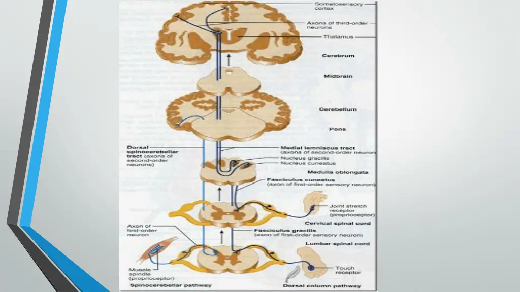 slide32