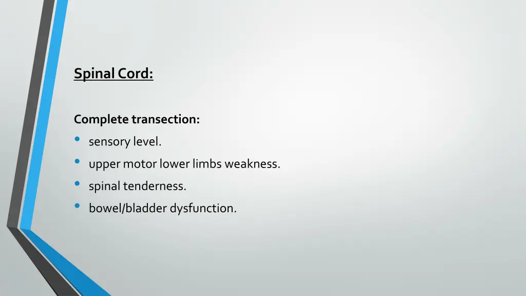 spinal cord 1