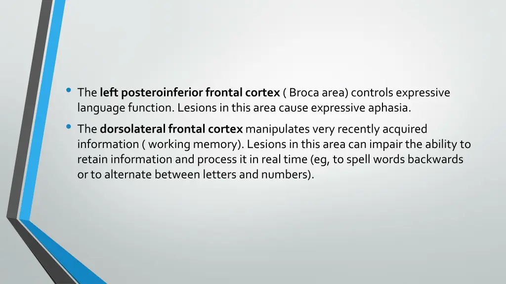 the left posteroinferior frontal cortex brocaarea