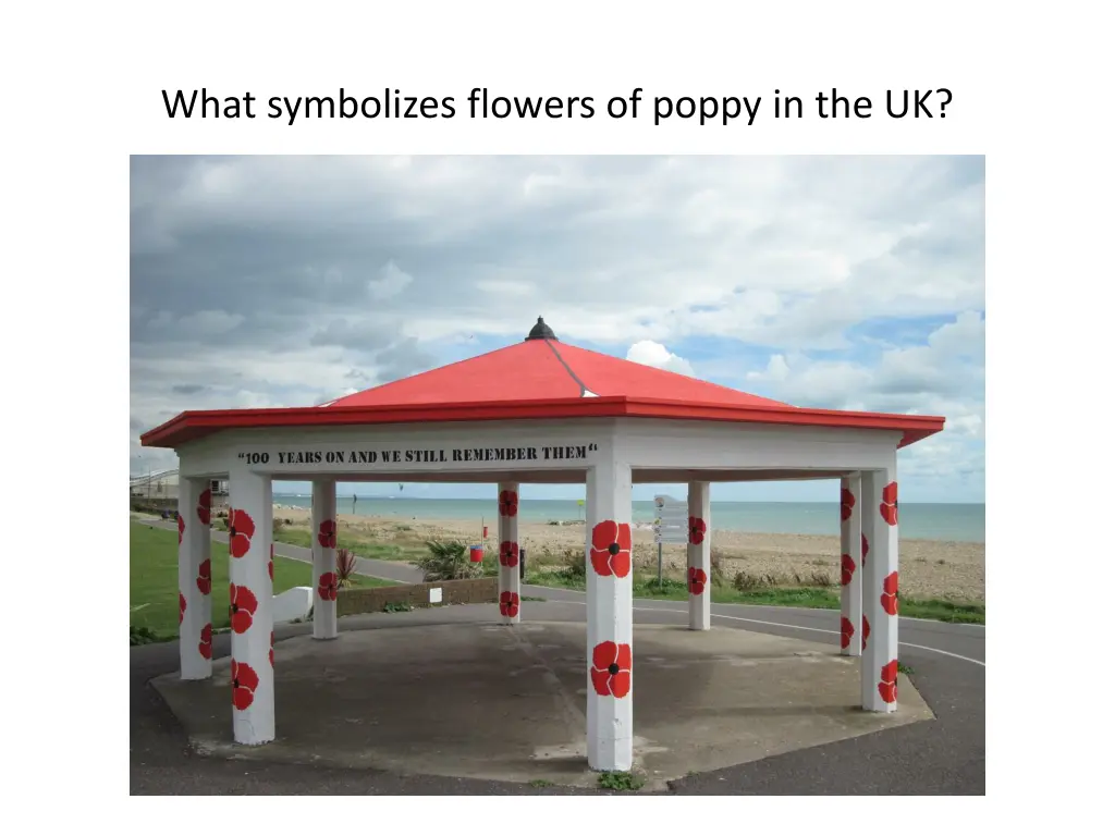 what symbolizes flowers of poppy in the uk