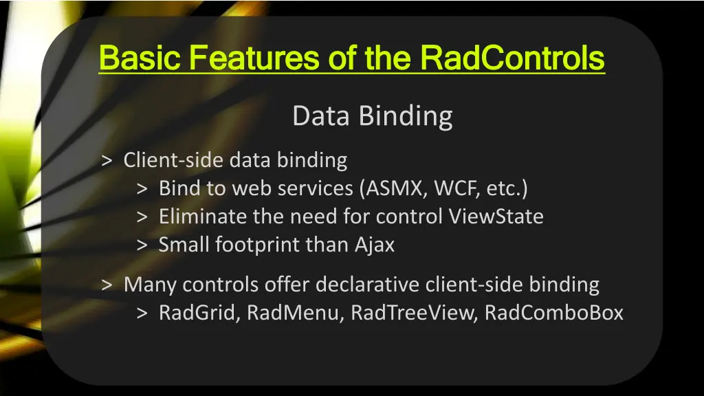 basic features of the radcontrols basic features 2