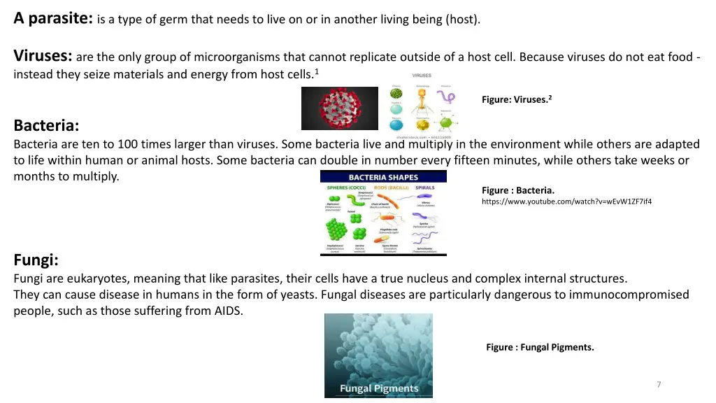 a parasite is a type of germ that needs to live