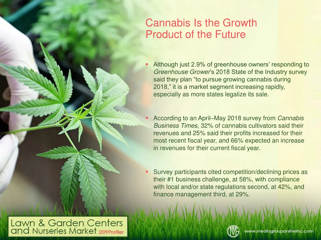 cannabis is the growth product of the future