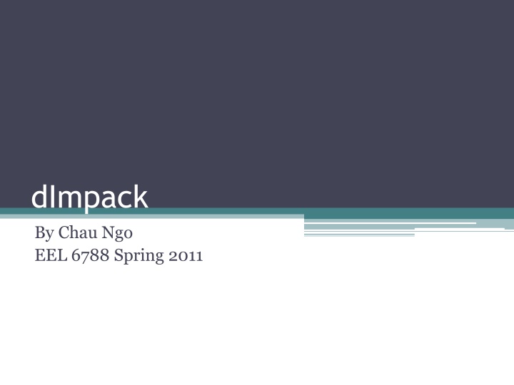 dimpack by chau ngo eel 6788 spring 2011