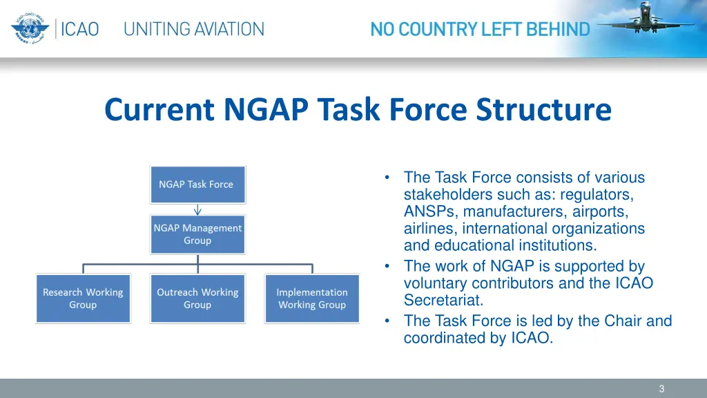 current ngap task force structure