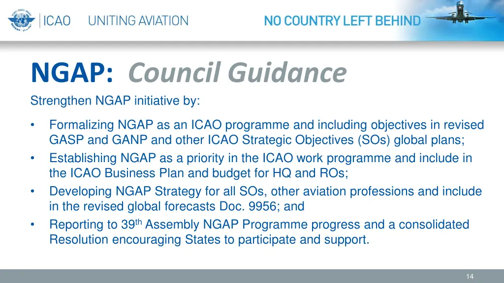 ngap council guidance strengthen ngap initiative