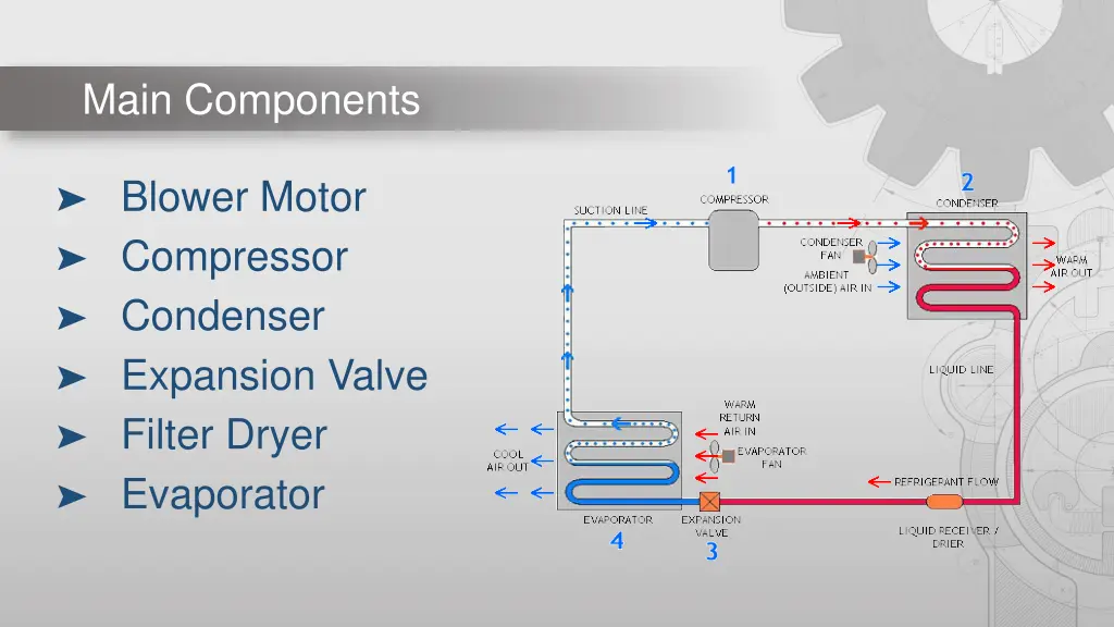 main components