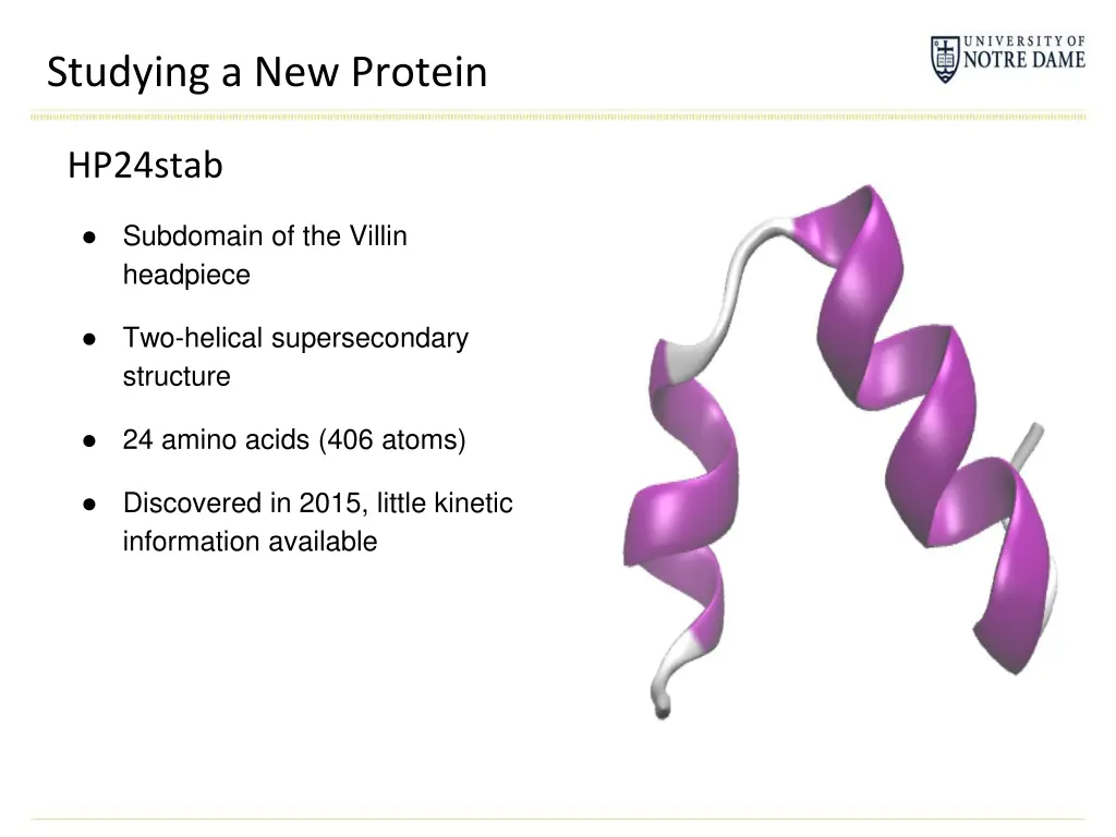 studying a new protein