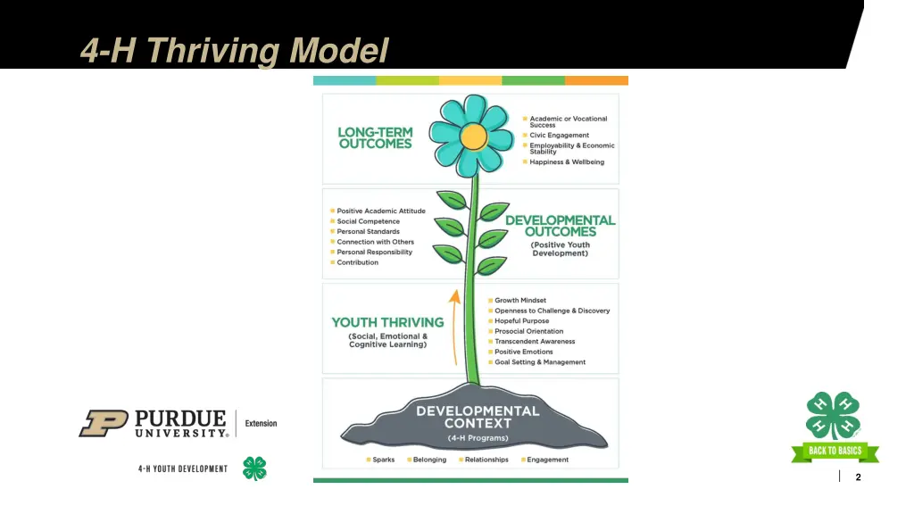 4 h thriving model