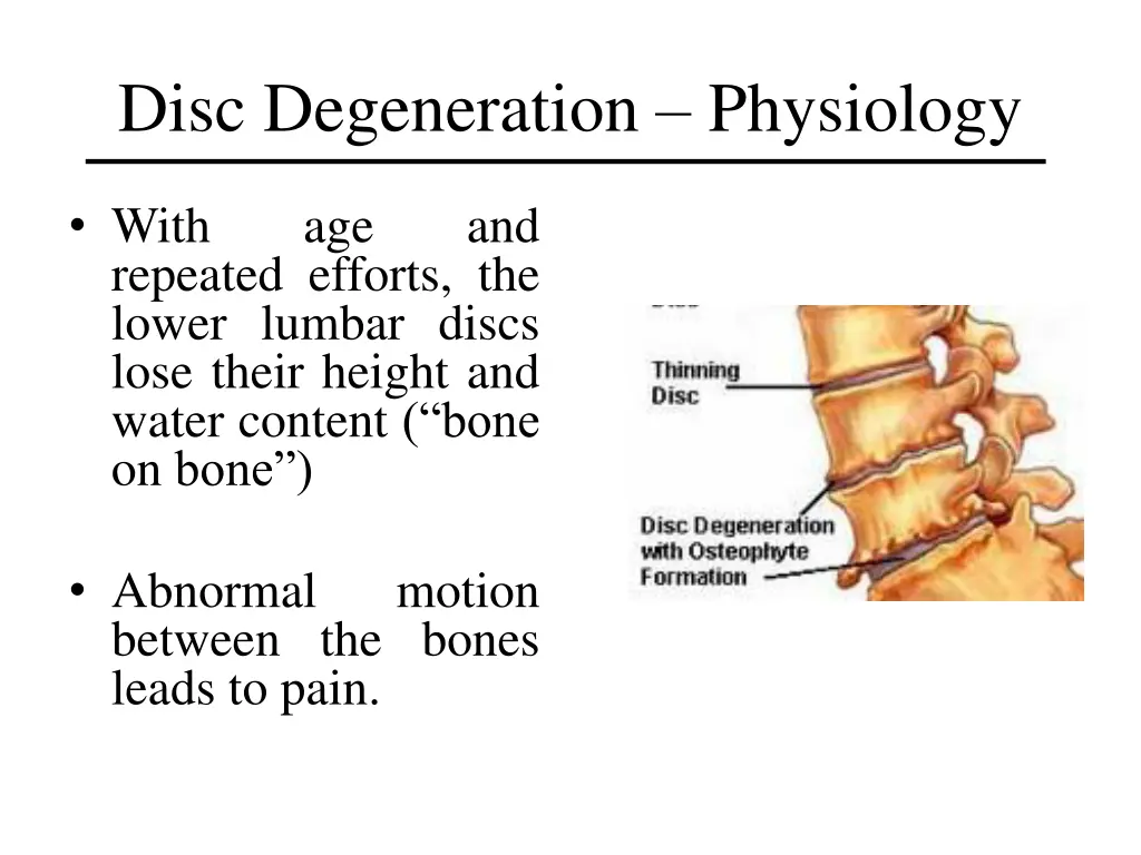 disc degeneration physiology