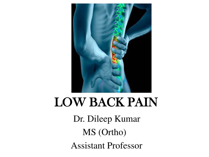 low back pain low back pain dr dileep kumar