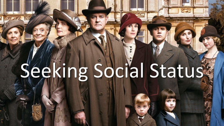 seeking social status