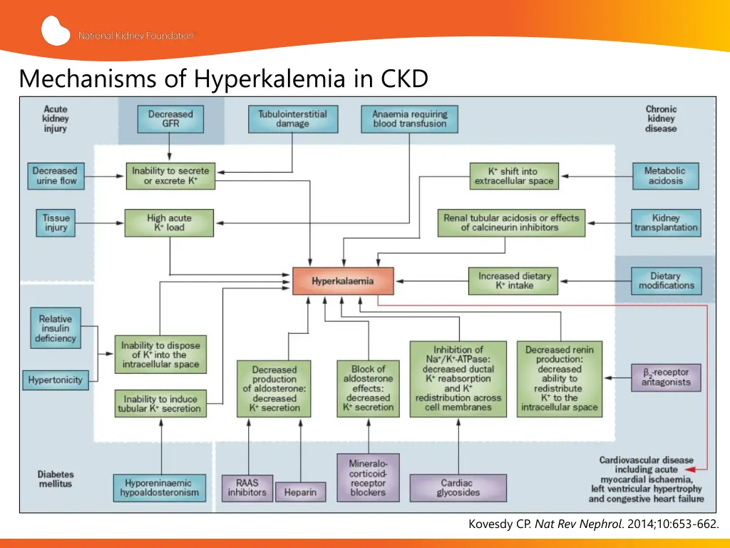 mechanisms of hyperkalemia in ckd