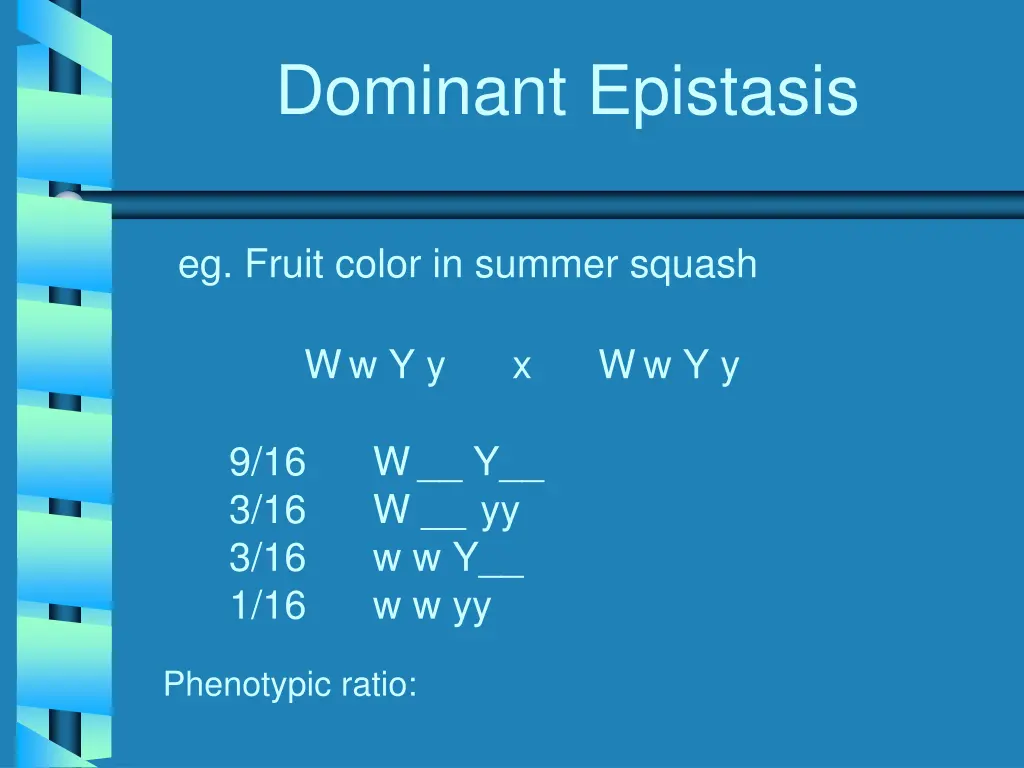 dominant epistasis 1