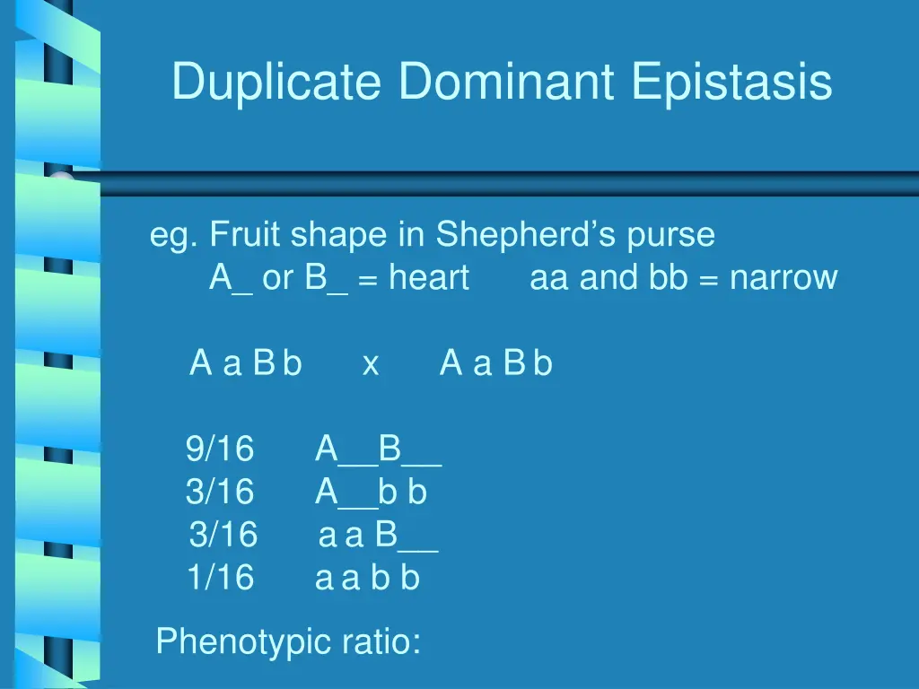 duplicate dominant epistasis 1