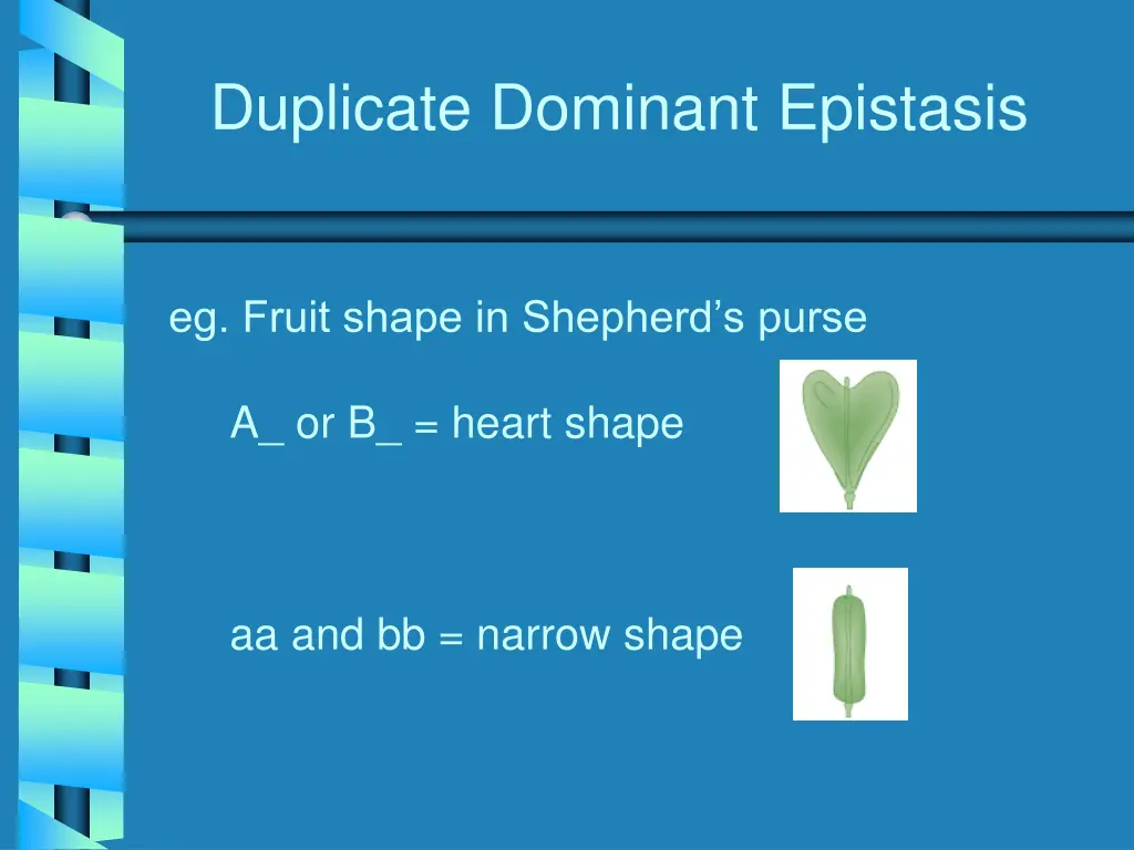 duplicate dominant epistasis