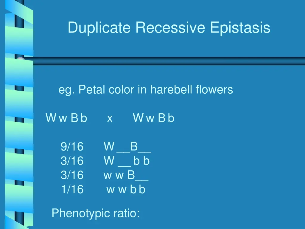 duplicate recessive epistasis 1