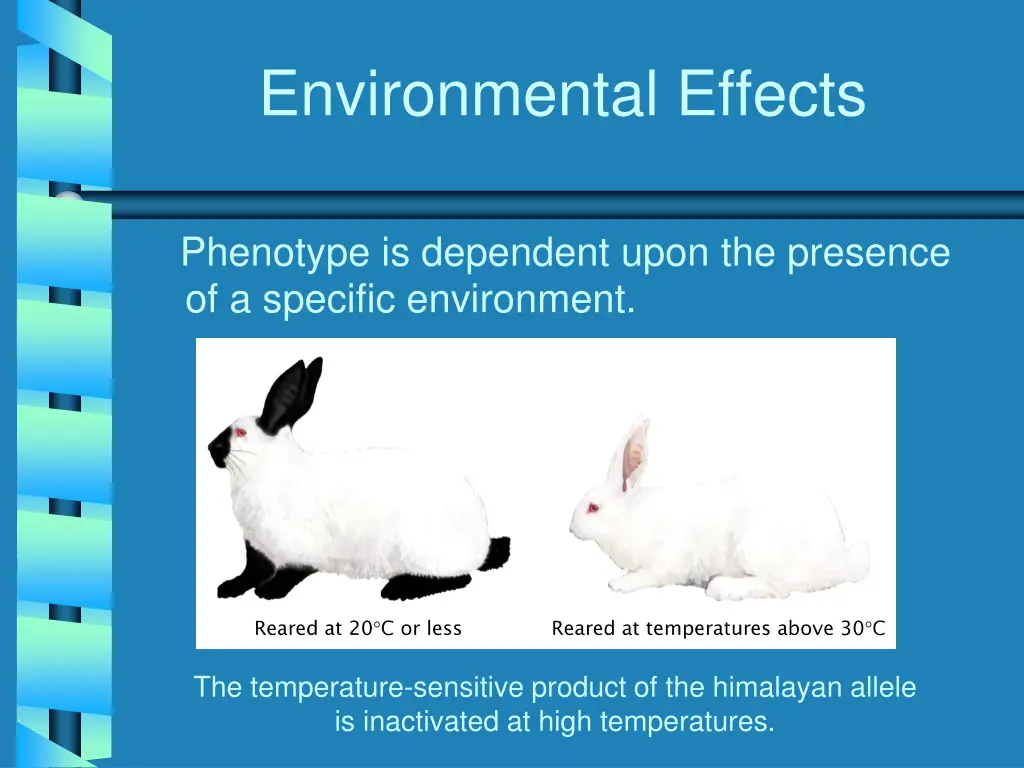 environmental effects