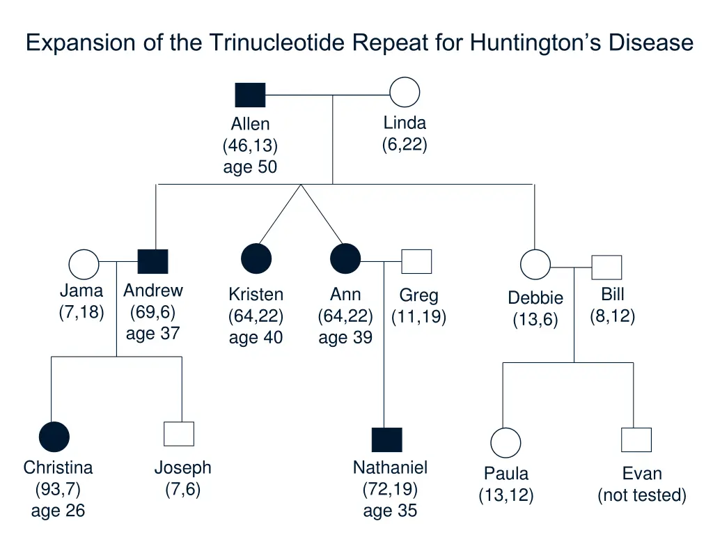 expansion of the trinucleotide repeat