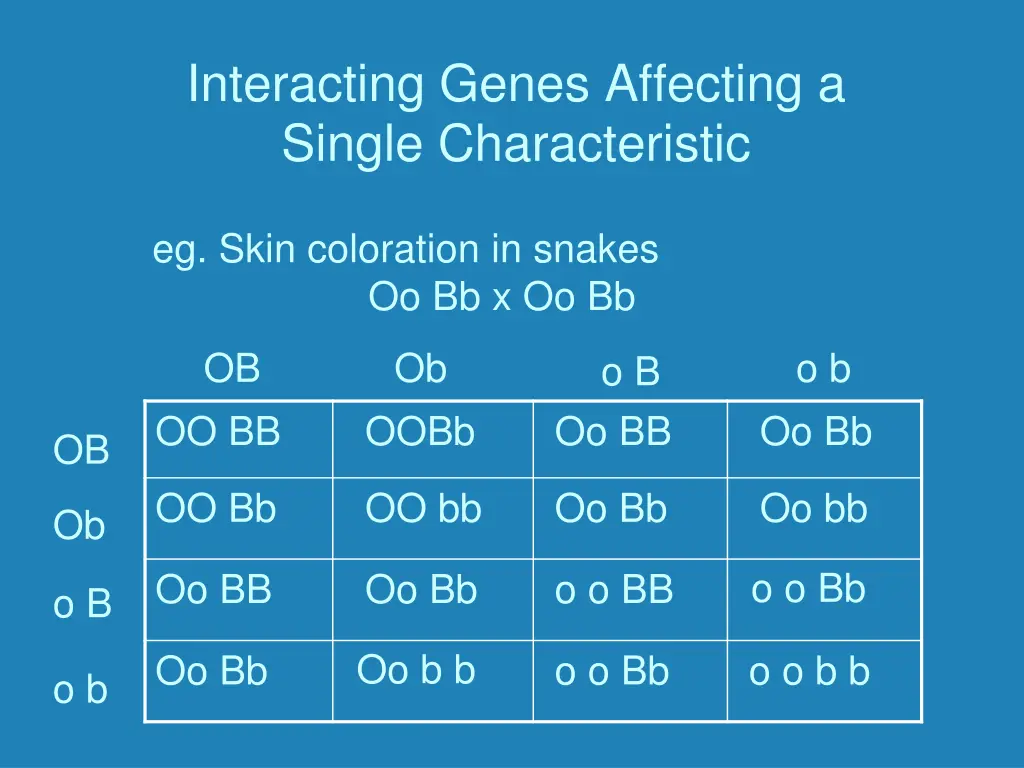 interacting genes affecting a single 1