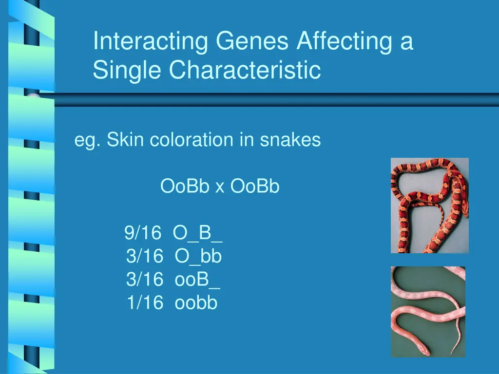 interacting genes affecting a single 2