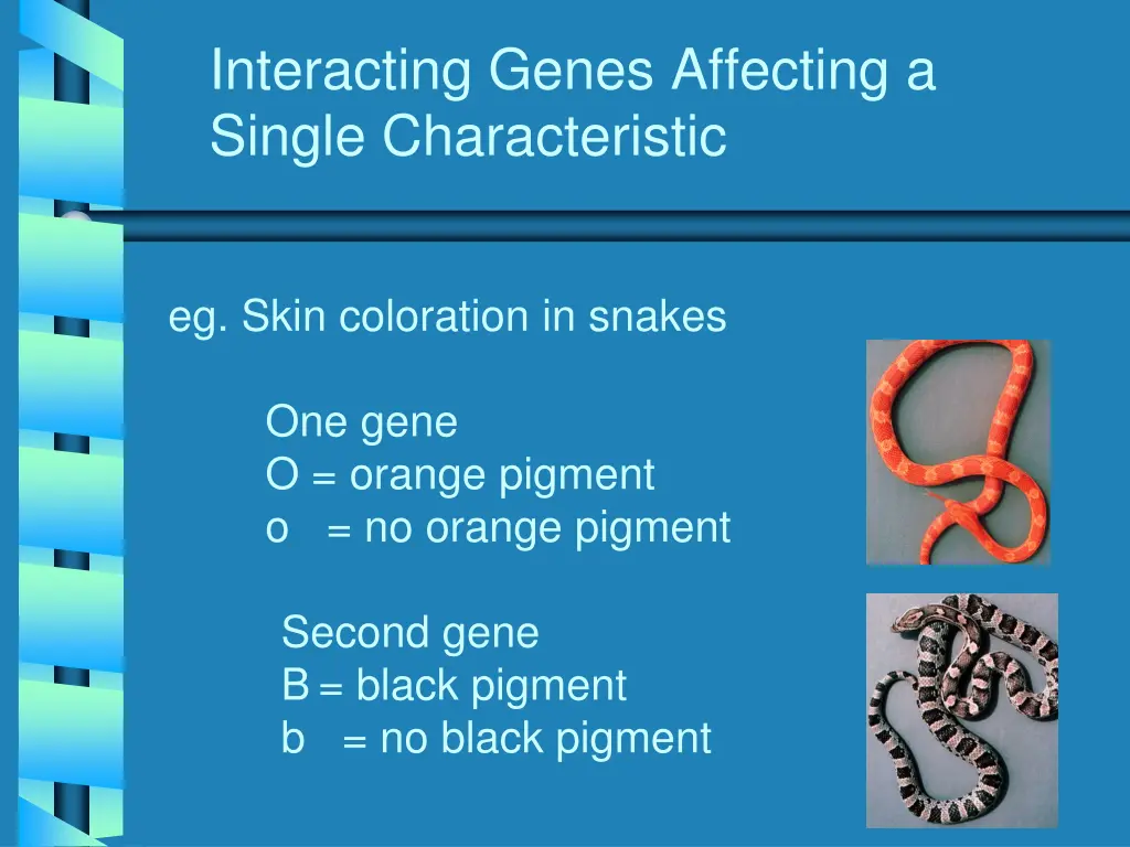 interacting genes affecting a single