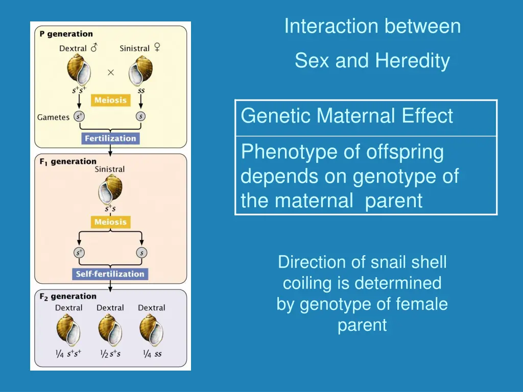 interaction between 1