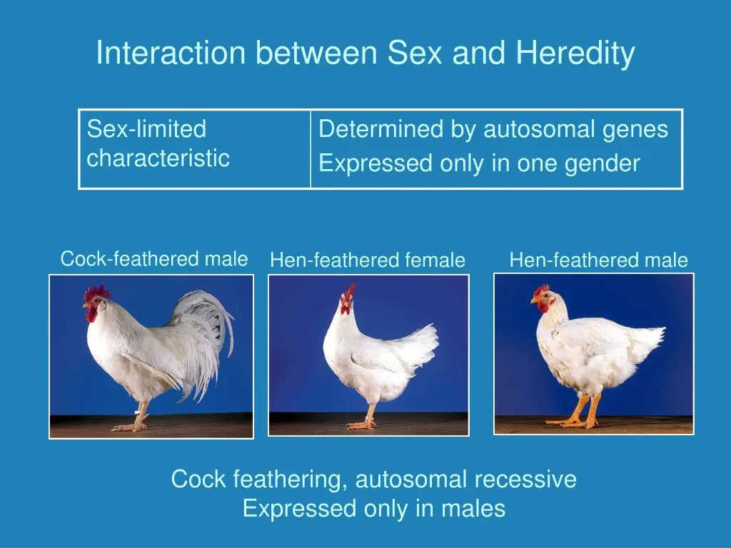 interaction between sex and heredity 1