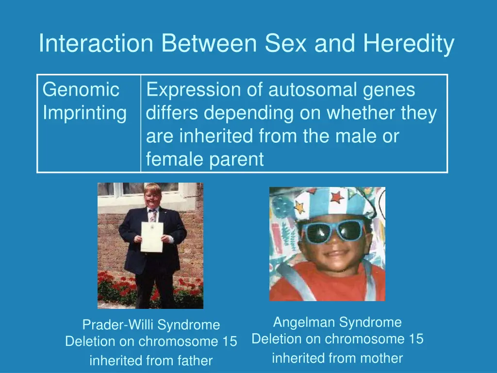 interaction between sex and heredity 2