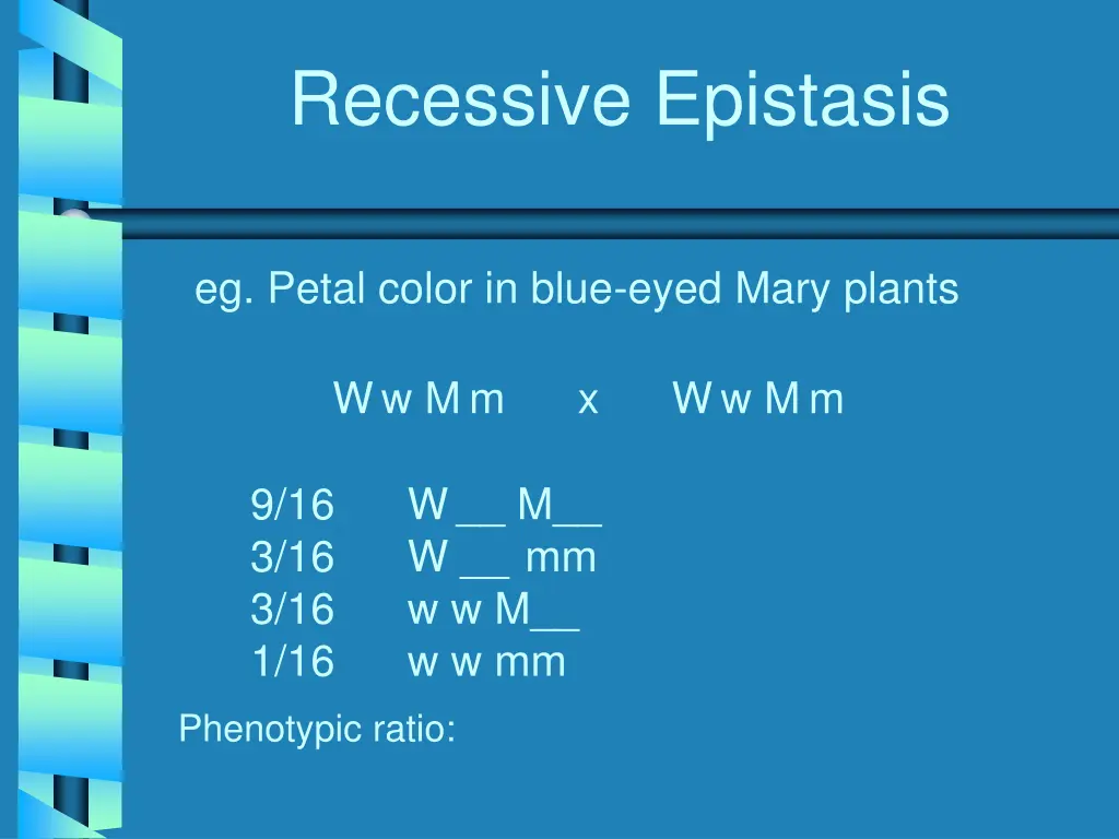 recessive epistasis 1