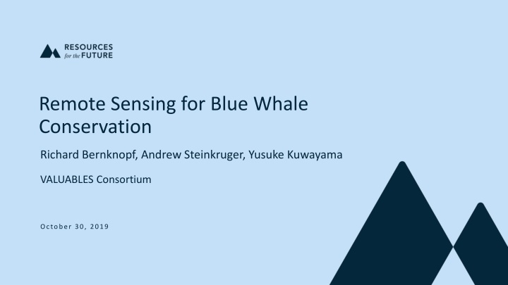 remote sensing for blue whale conservation