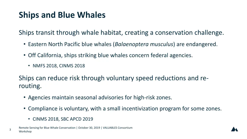 ships and blue whales