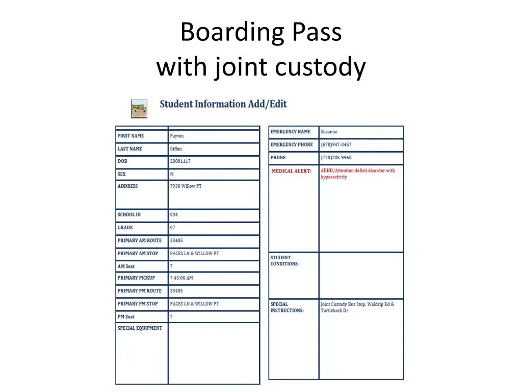 boarding pass with joint custody