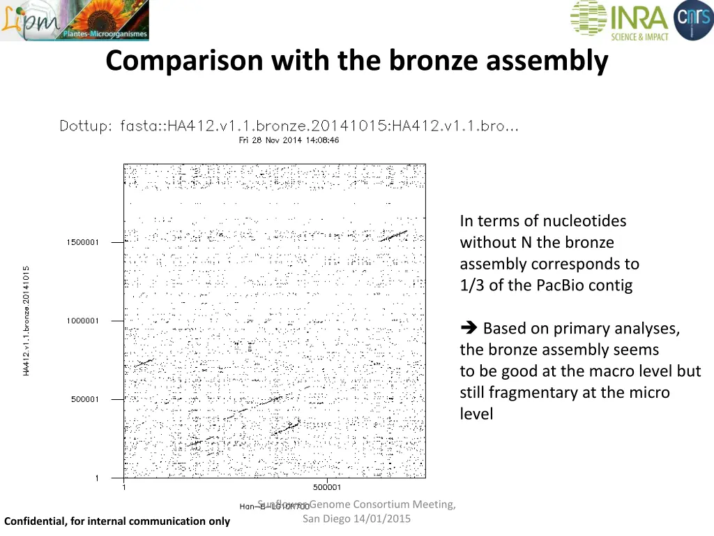 comparison with the bronze assembly