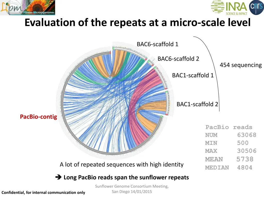 evaluation of the repeats at a micro scale level