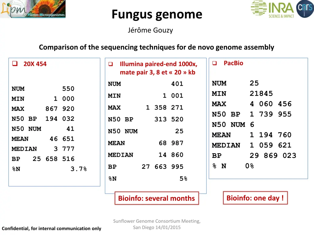 fungus genome