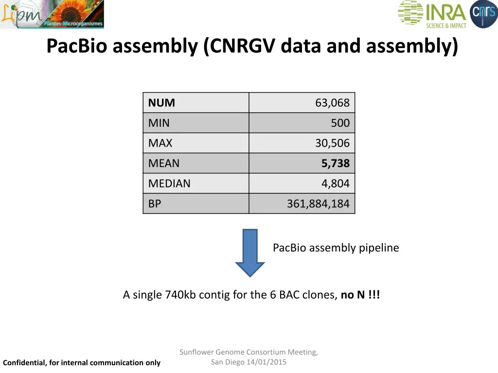 pacbio assembly cnrgv data and assembly