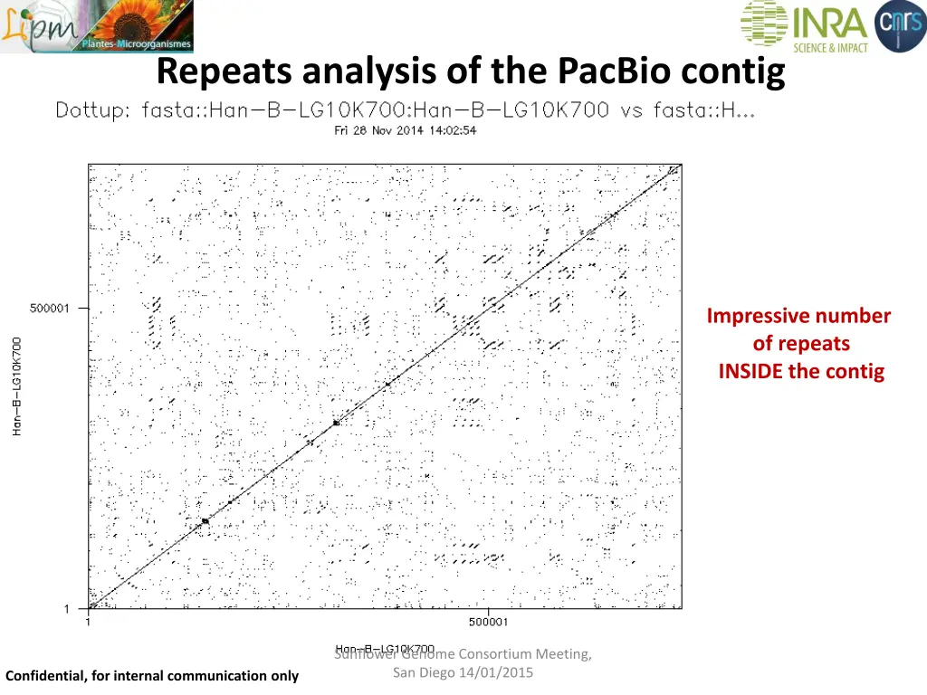 repeats analysis of the pacbio contig