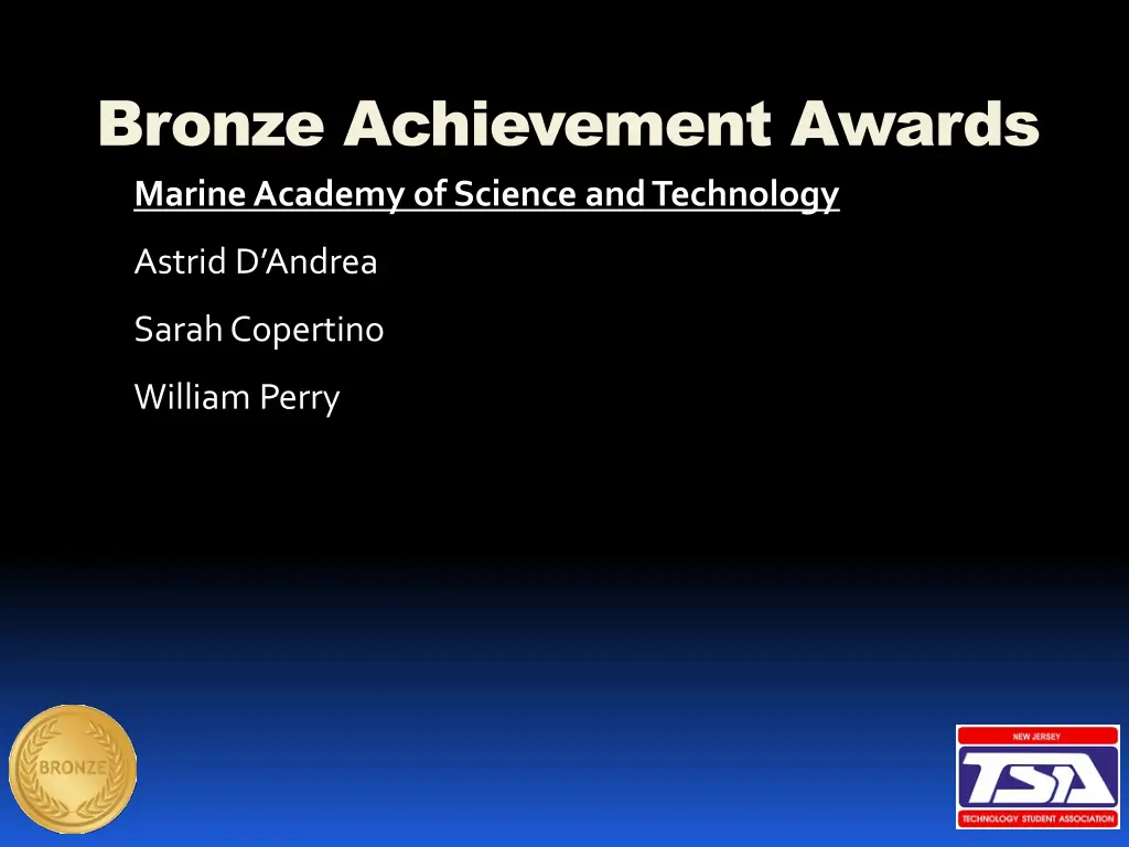 bronze achievement awards 8