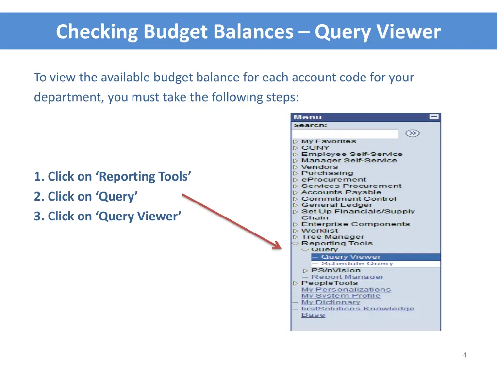 checking budget balances query viewer 1