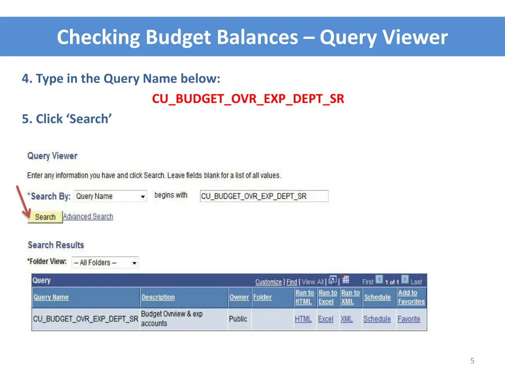 checking budget balances query viewer 2