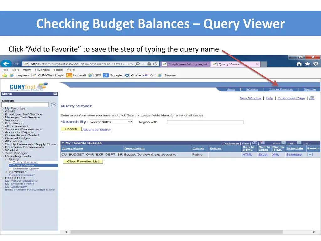 checking budget balances query viewer 3