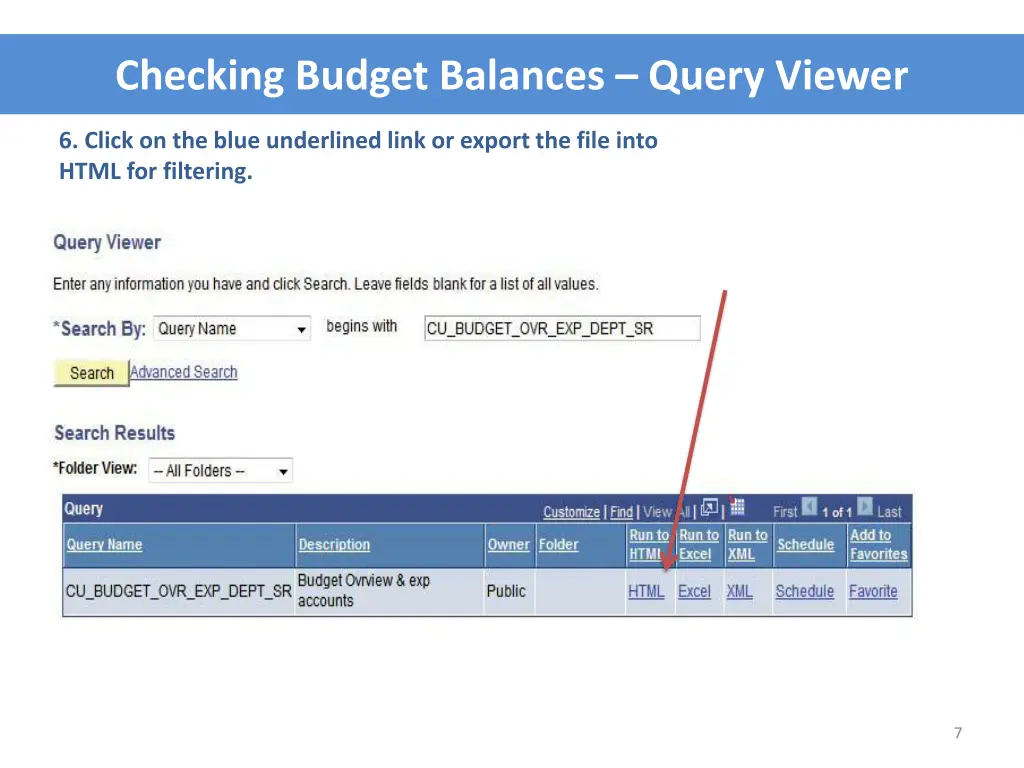 checking budget balances query viewer 4