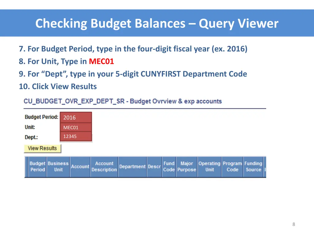 checking budget balances query viewer 5