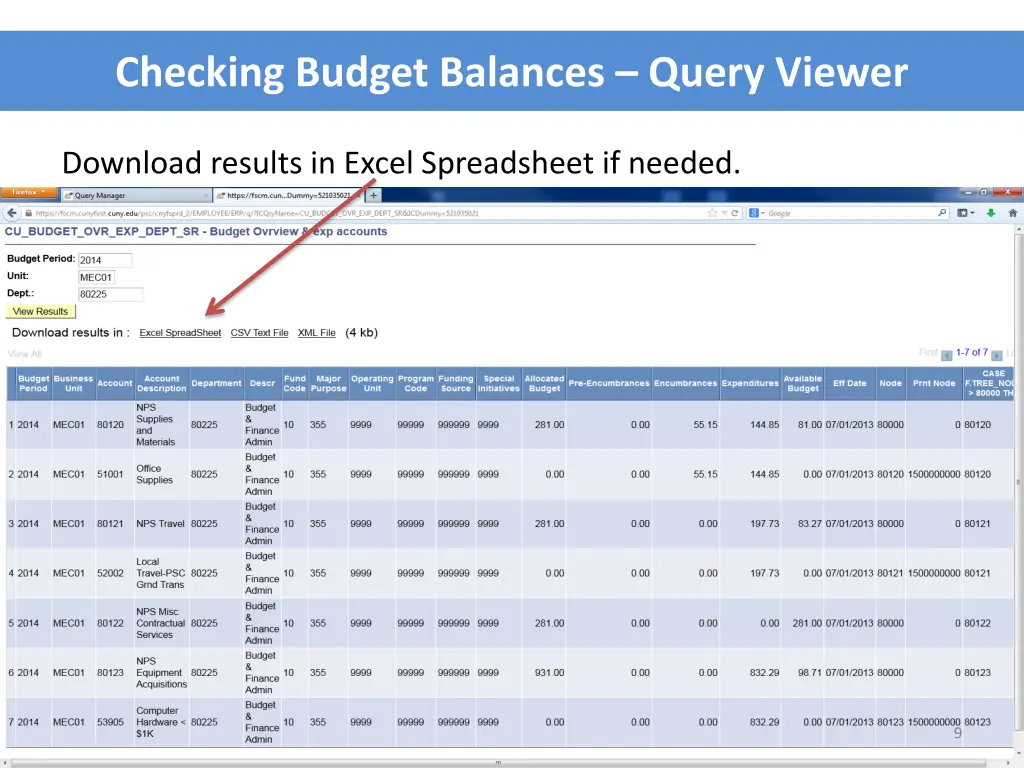 checking budget balances query viewer 6