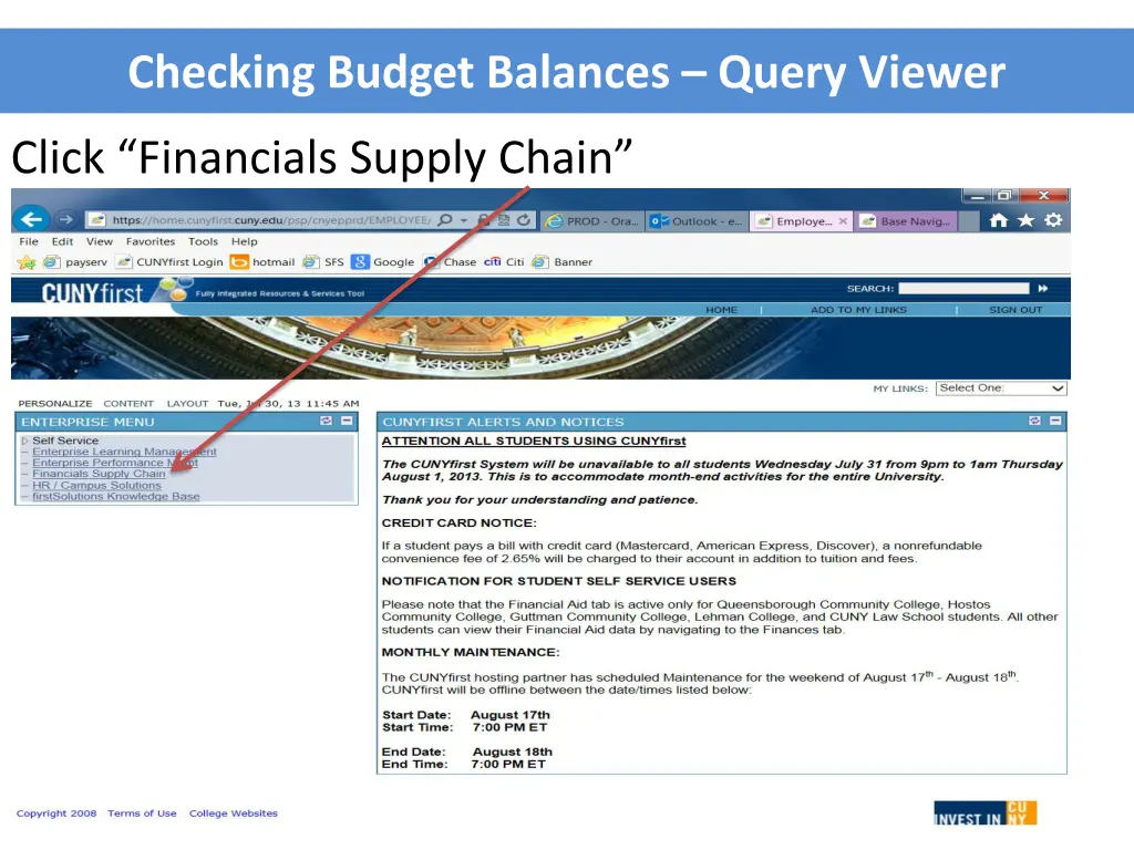 checking budget balances query viewer