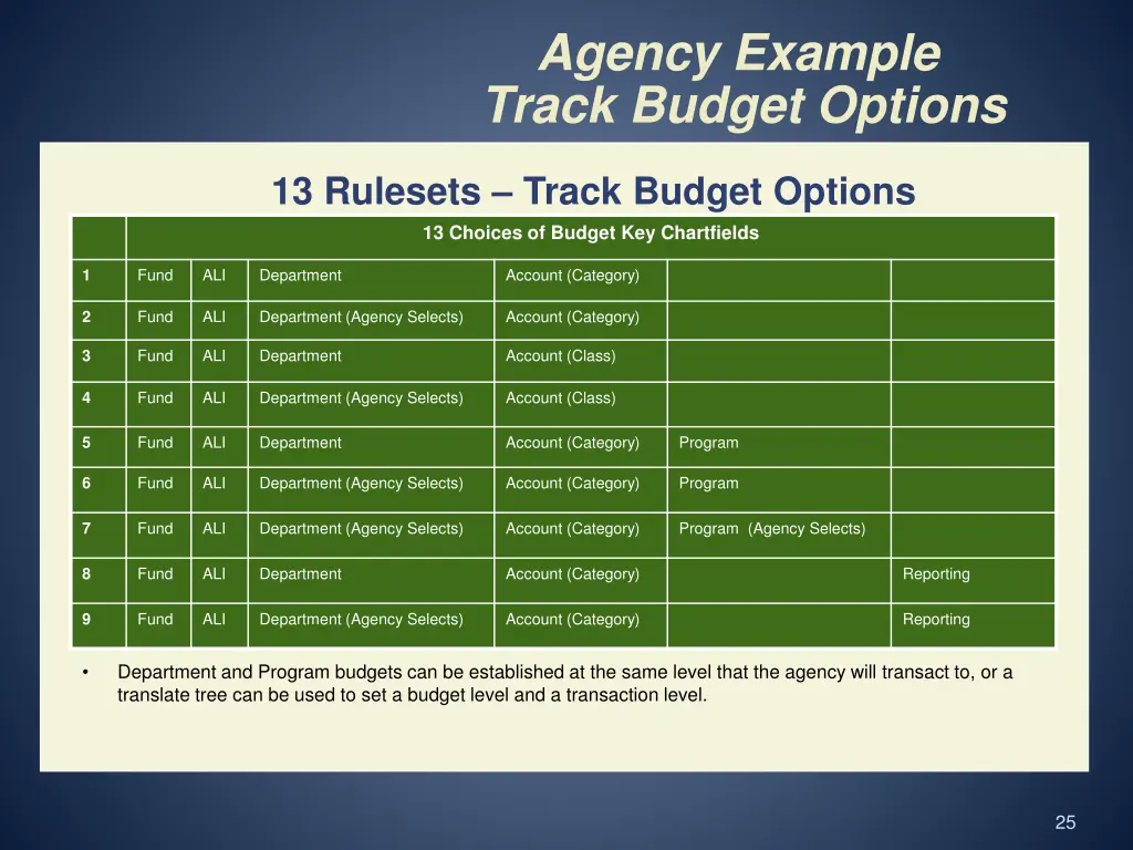 agency example track budget options